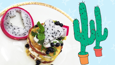 Lasagne Cactusfruit
