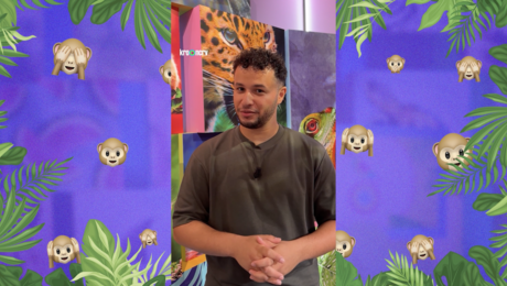 Waku Waku aapje winnen? Spot de leugen over de giraffe! 🦒