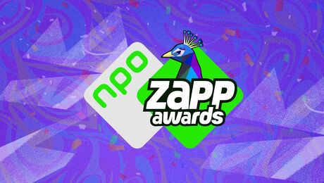 Zapp Awards 2026 | Stemreglement