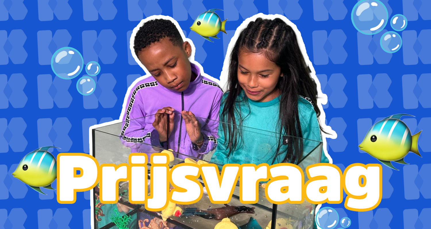 Maak de songtekst van 'Als een vis in het water' af
