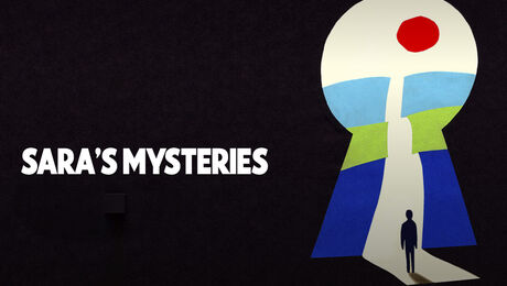 SARA'S MYSTERIES