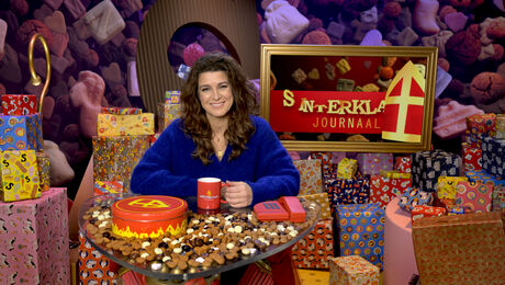 Het Sinterklaasjournaal